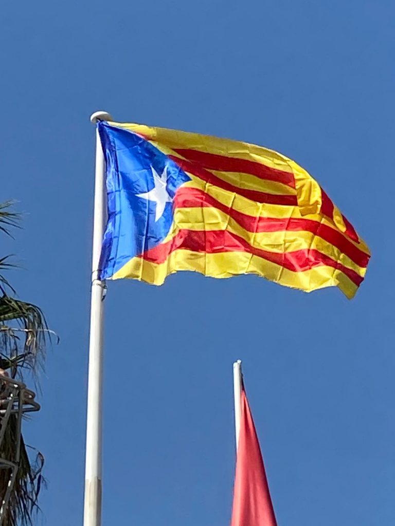 046810E5-CD76-4739-882A-0F62D0BDD541