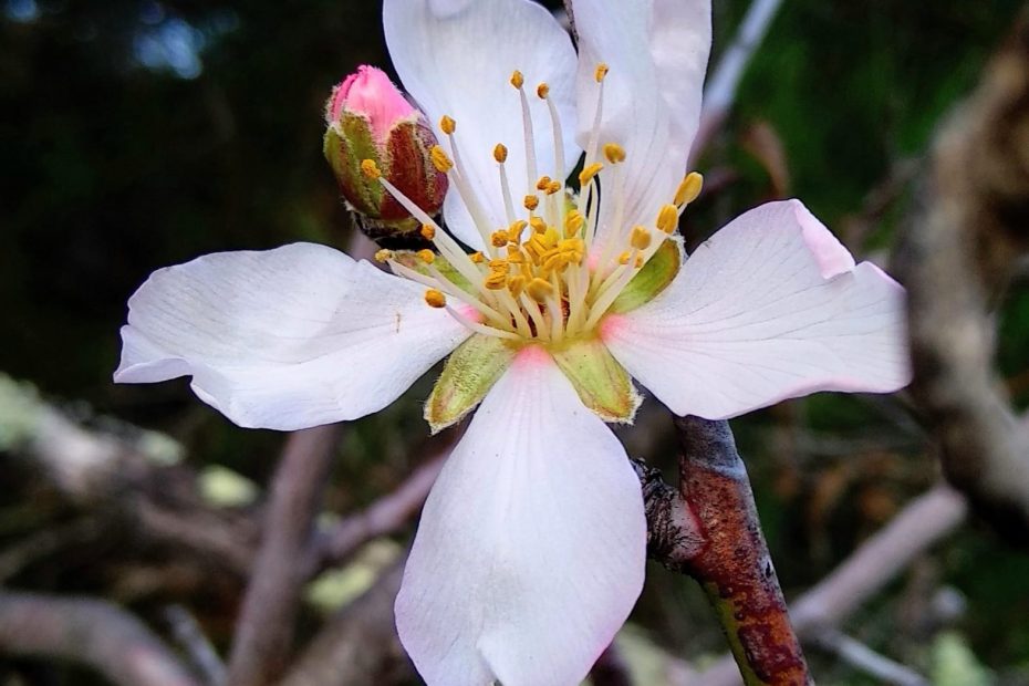 13797735-E350-4834-A715-6791578D6214