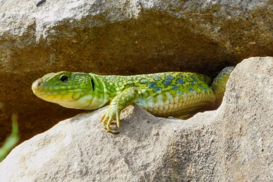 172D4F56-2E90-4320-8BD3-60B0048D4584