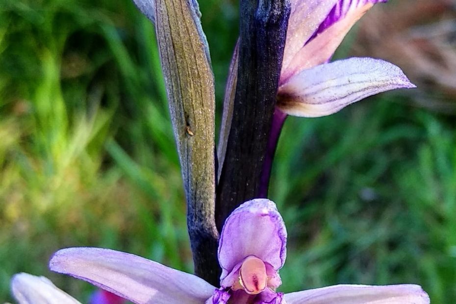 316C5609-FCD7-4C43-9D99-80B55F80E14F