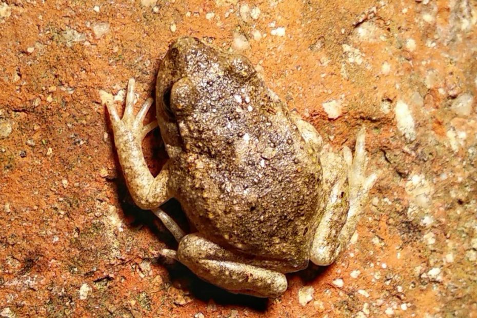 781D9274-E214-4625-BC02-31649A3E97F9