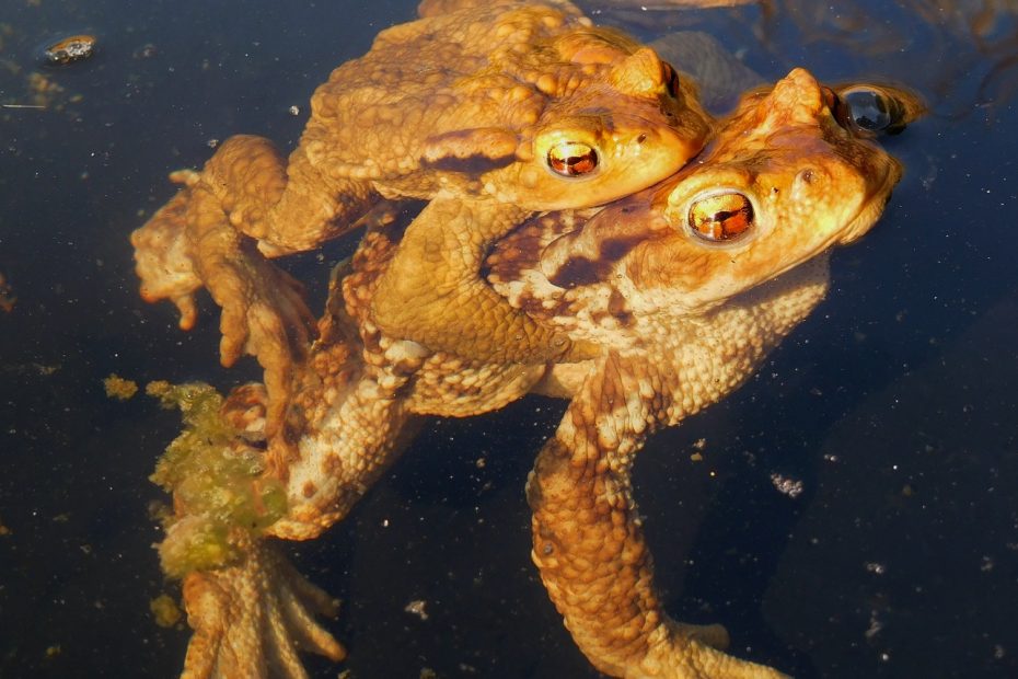 819685B8-3014-421F-AB4B-CDF29E6FDAEB