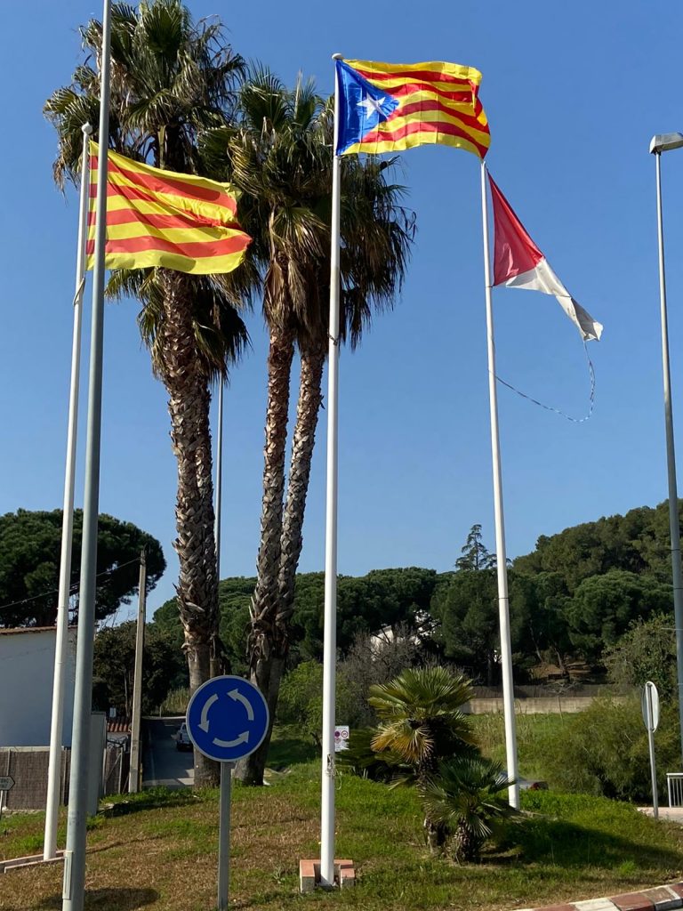 BF0F4A57-6BDB-4CEB-9AD1-918E0535B597