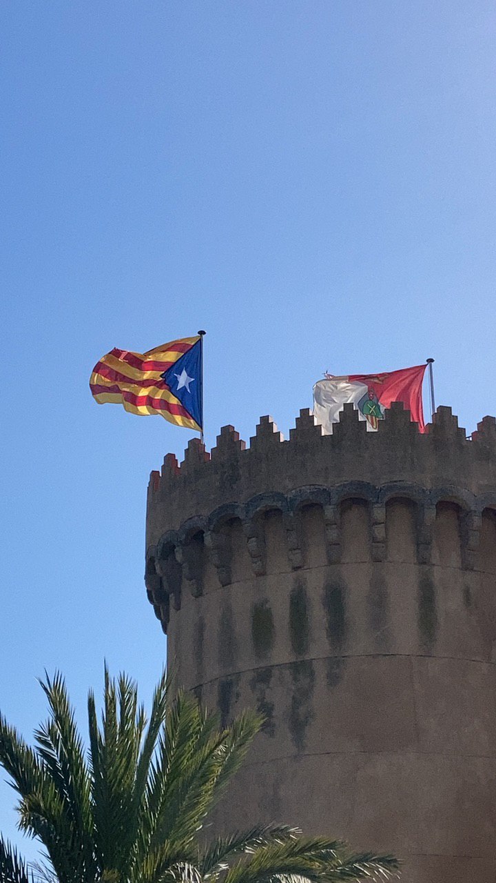 C3039E76-7715-4290-9FDA-5C502E4A8C50