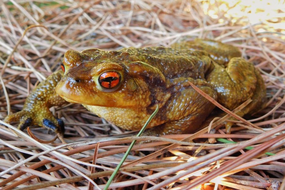 E4BB7EE1-6D1E-4E52-BDF5-D096444FF4BB