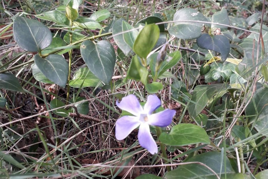 F7B3D4CD-3F68-4489-8DFE-5DE70B81E59D